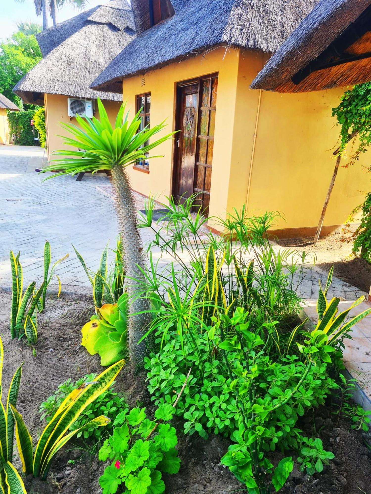 Maya Bnb Nata Exterior foto
