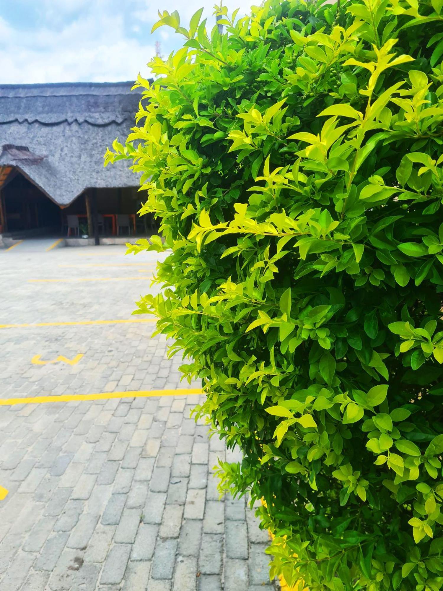 Maya Bnb Nata Exterior foto